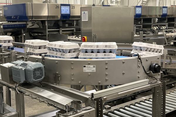 curved conveyor in production line where eggs are packed.