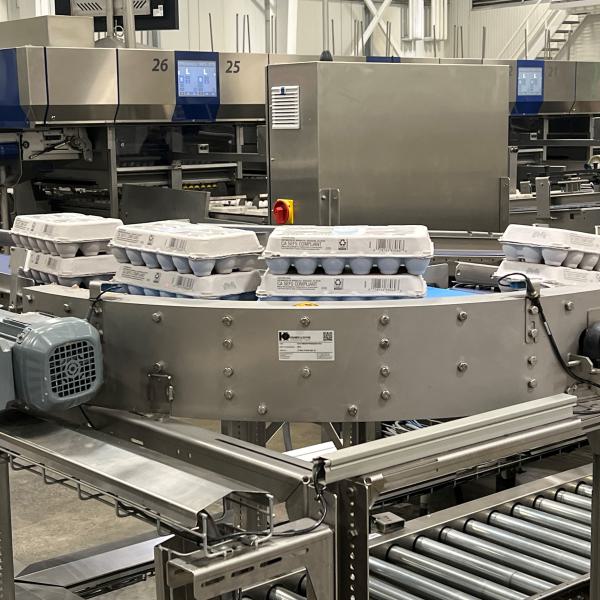 curved conveyor in production line where eggs are packed.